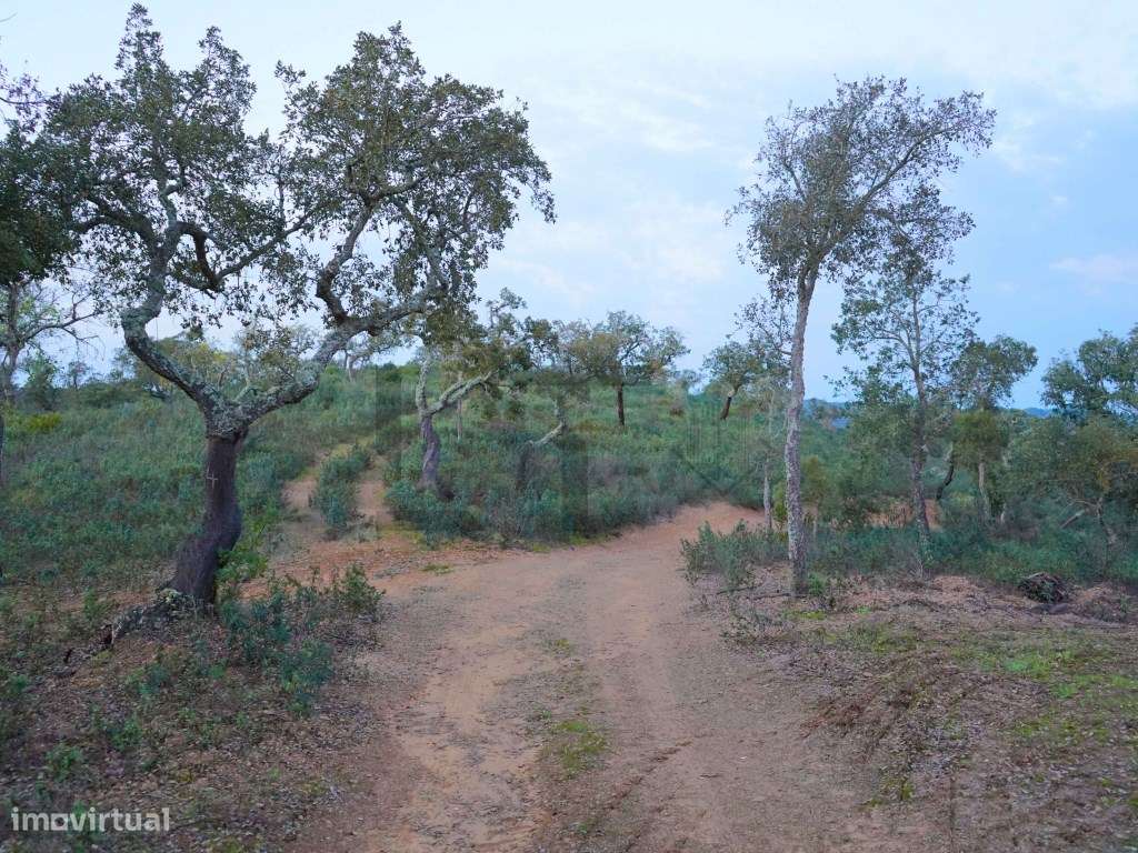 Terreno para Venda com 34 Hectares com Ruina na Serra de Grândola /...-21