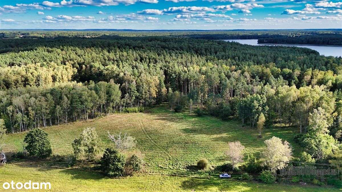 Pod Lasem Ok. 300 M Od Jeziora Pile - Dąbrowica --6