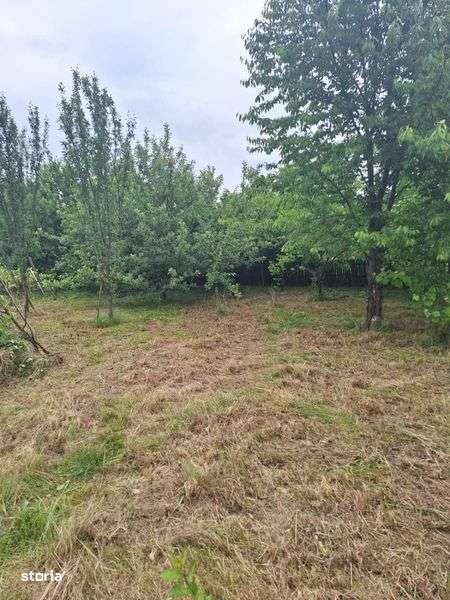 Vand teren intravilan Bascov, Stejaret - Imagine principală: 4/5