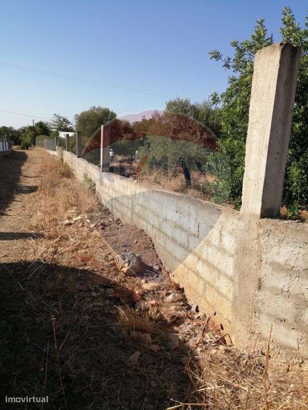 Terreno para venda - Grande imagem: 4/5