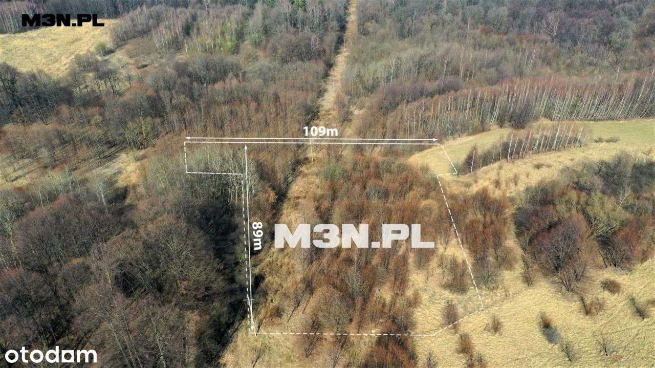 Działka rolna 58a Przytkowice, K-Zebrzydowska - Pełny obrazek: 3/10