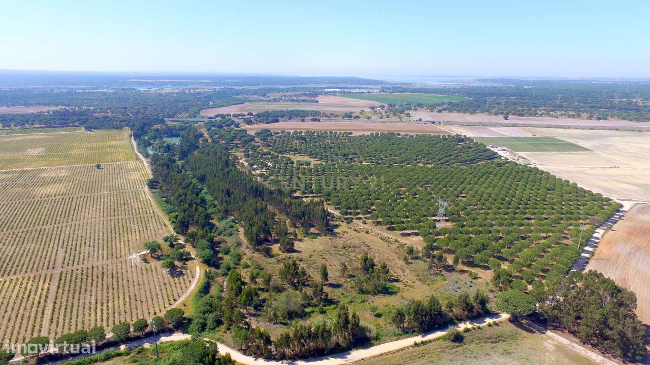 Herdade no Poceirão com 101 ha - Palmela - Grande imagem: 4/60