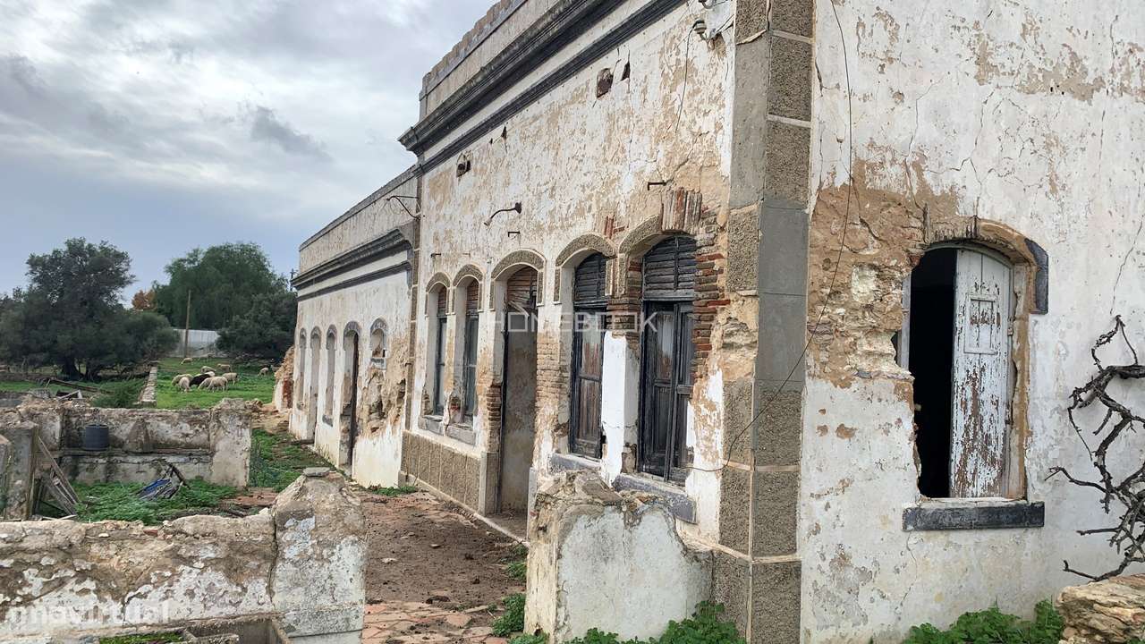 PEDRAS DEL REI - TAVIRA - ALGARVE-6