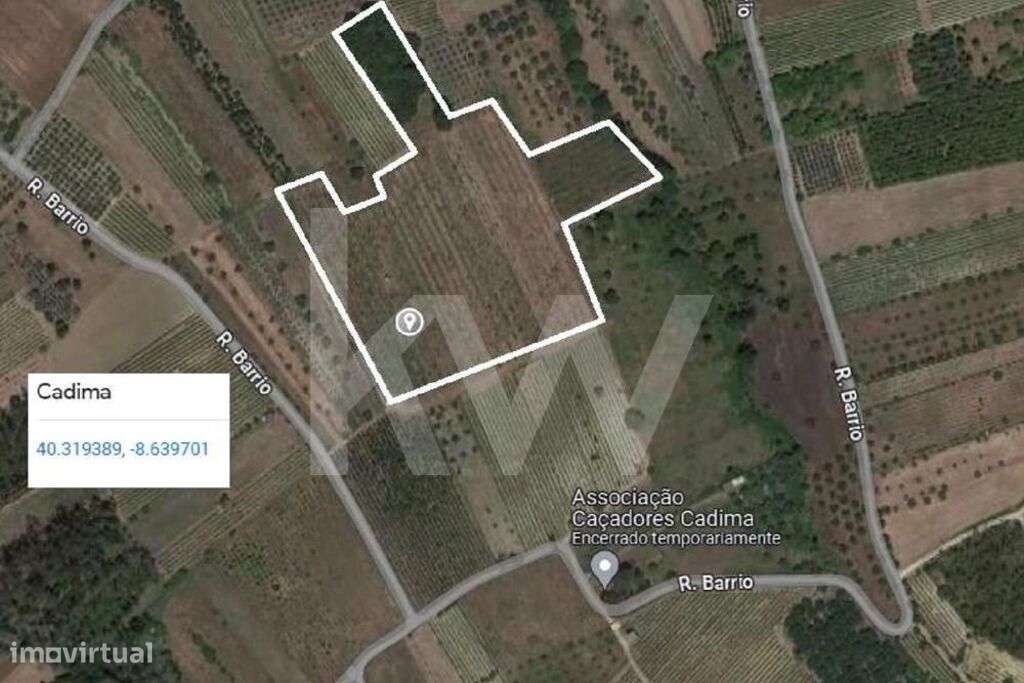 QUINTA DE 2,5 HA COM POMAR DE KIWIS, EM CANTANHEDE - Grande imagem: 4/26