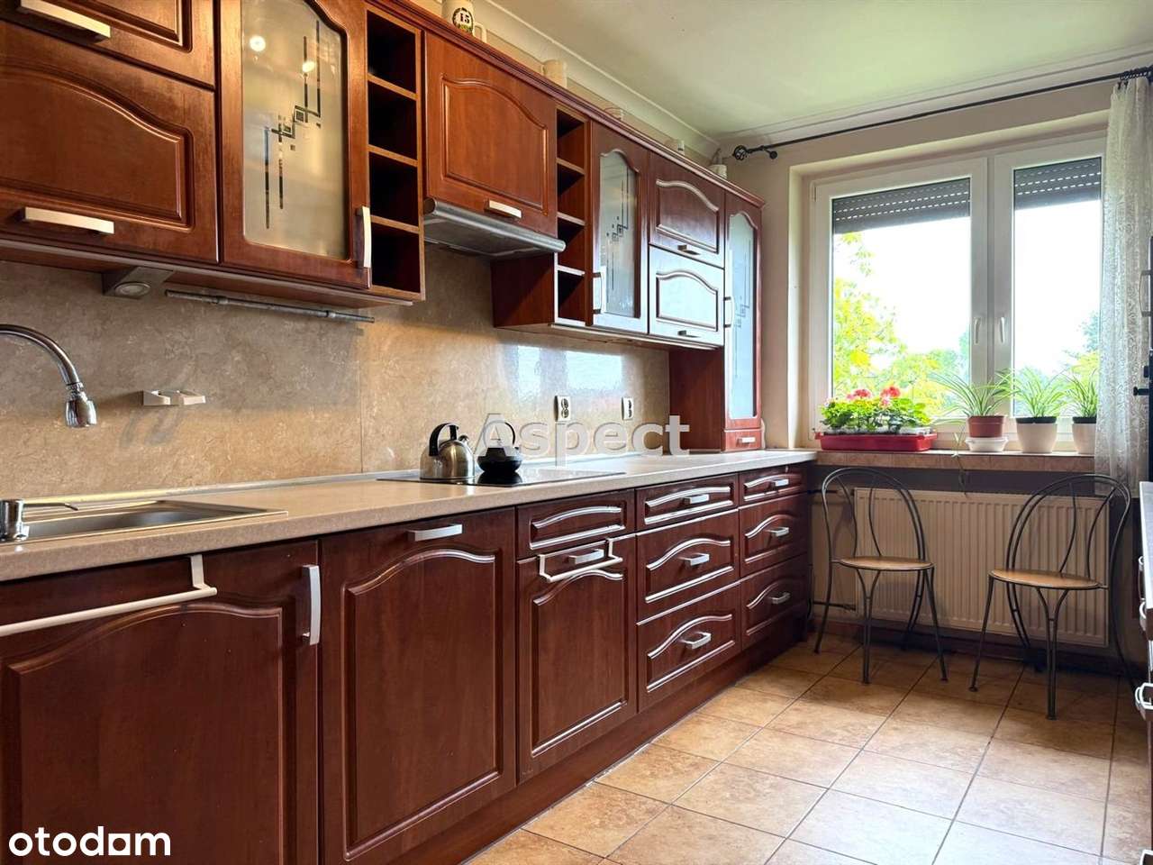 Dom wolnostojący w doskonałej lokalizacji - Pełny obrazek: 4/14