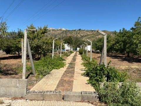 Terreno em zona Urbana com Cerca de 5.000 m² à Venda | Baixa de Pal...-15
