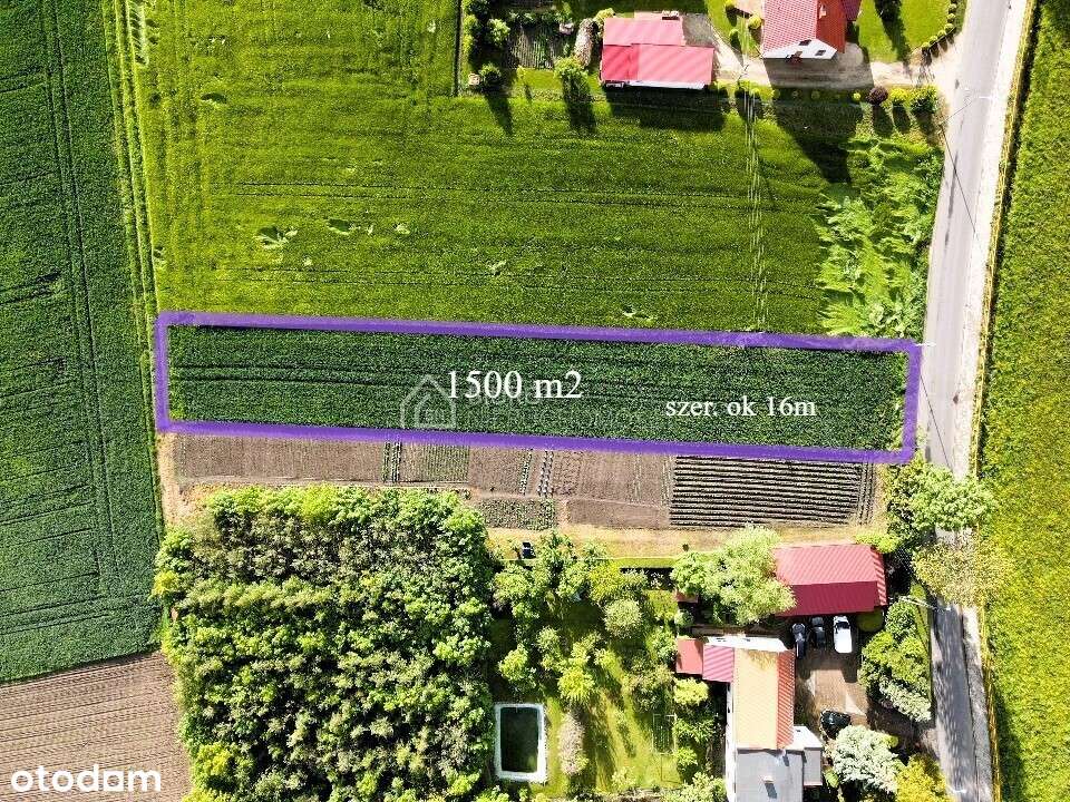 Działka budowlana Czernina Dolna 1500 m2 - Pełny obrazek: 4/5