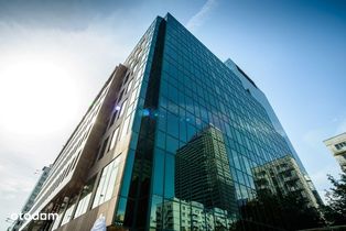 Lokal użytkowy, 228 m², Warszawa - Pełny obrazek: 5/7