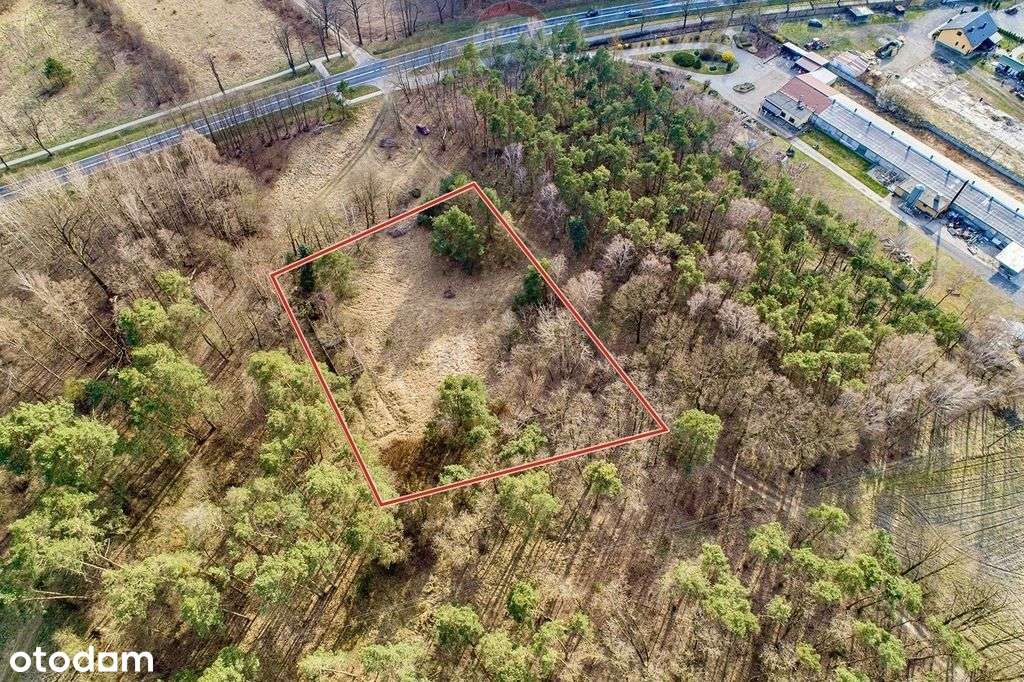 Działka budowlana 4081 m2, Dąbie - Pełny obrazek: 5/8