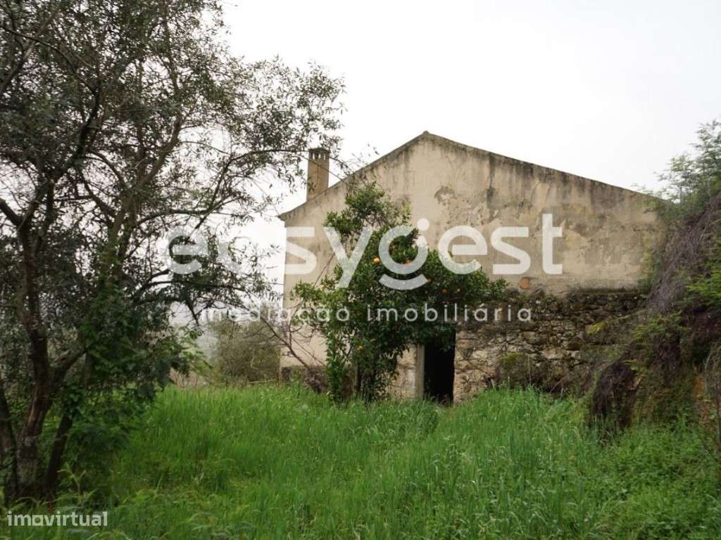 Quintinha com aproximadamente 4000 m2 em Gonçalo, Guarda - Grande imagem: 4/28