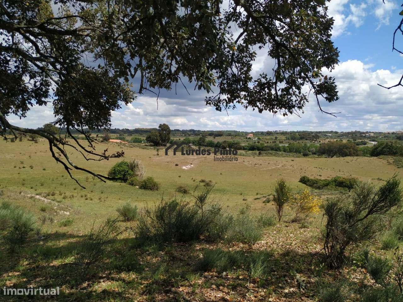 Terreno em Castelo Branco - Grande imagem: 4/7