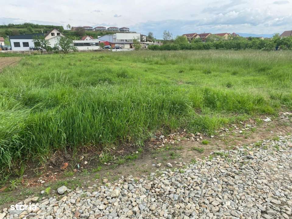 Teren intravilan, 1250 mp, Sura Mare - Imagine principală: 5/6