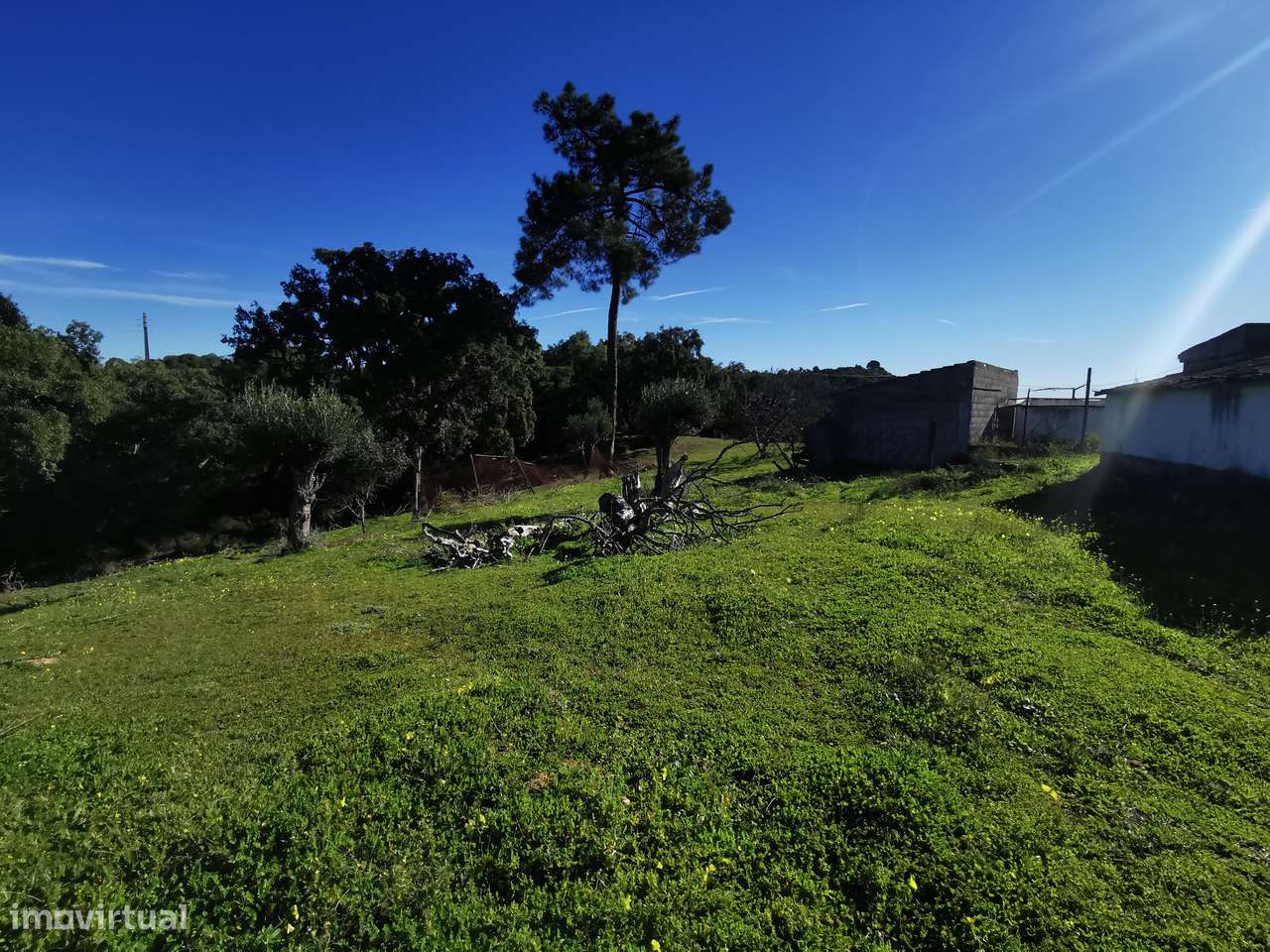 Moradia Terrea para recontruir-11