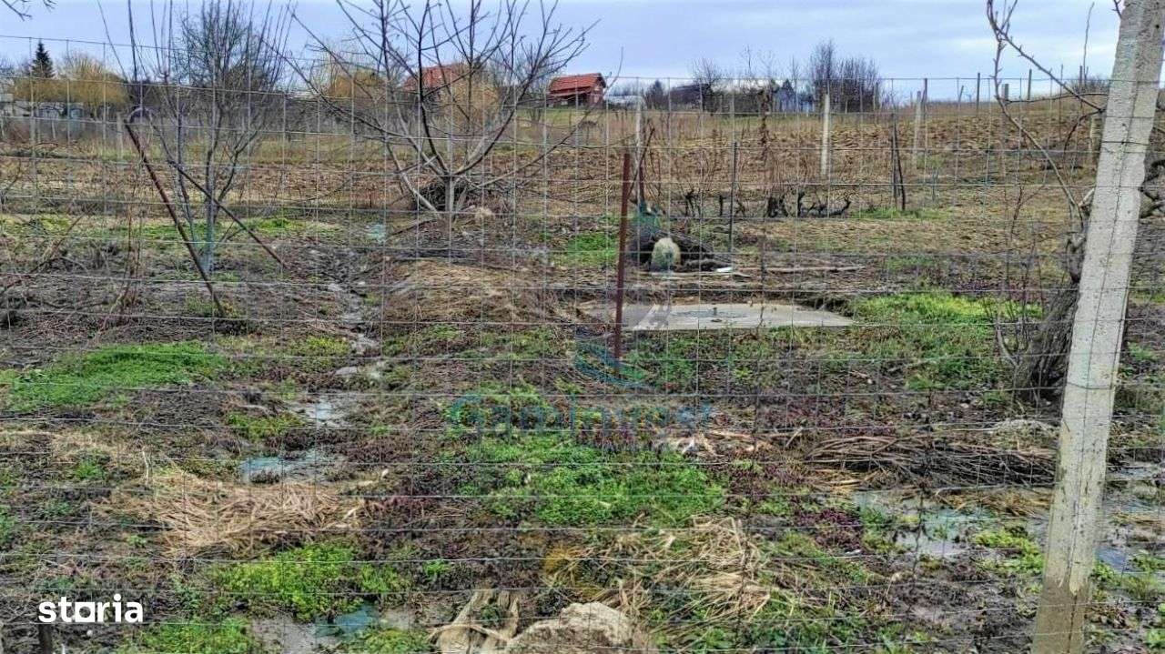 GAMINVEST-Teren de vânzare în Săldăbagiu de Munte, V3117B - Imagine principală: 1/2