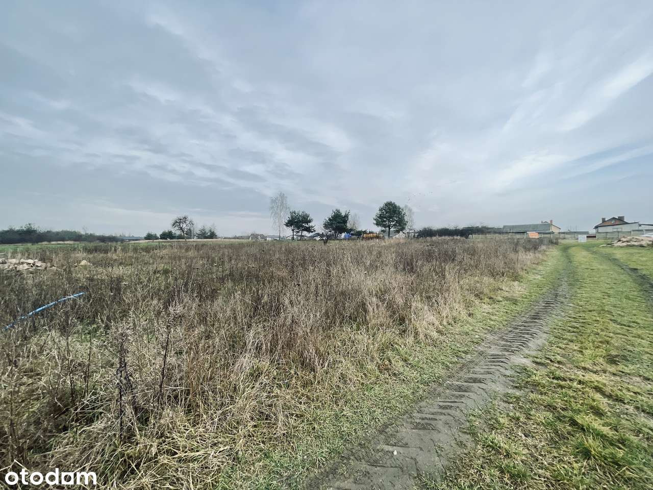 Prąd, woda, kanalizacja | Droga utwardzona | Prostokąt | Płaska | Park-13