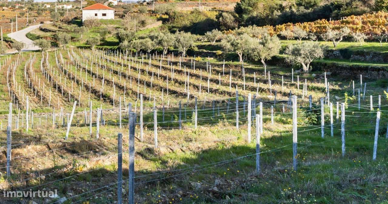 Moradia, 114 m², Barcos e Santa Leocádia-47