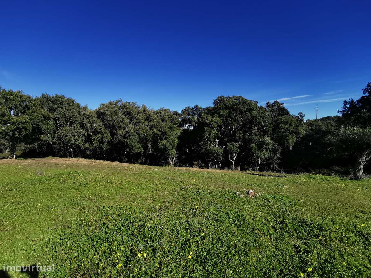 Moradia Terrea para recontruir-12