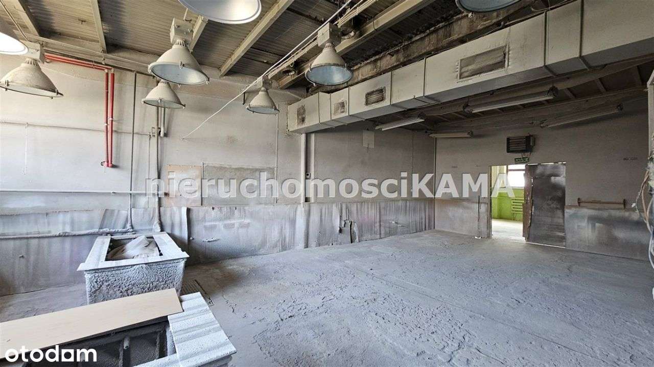 Hala/Magazyn, 454 m², Łodygowice - Pełny obrazek: 5/13