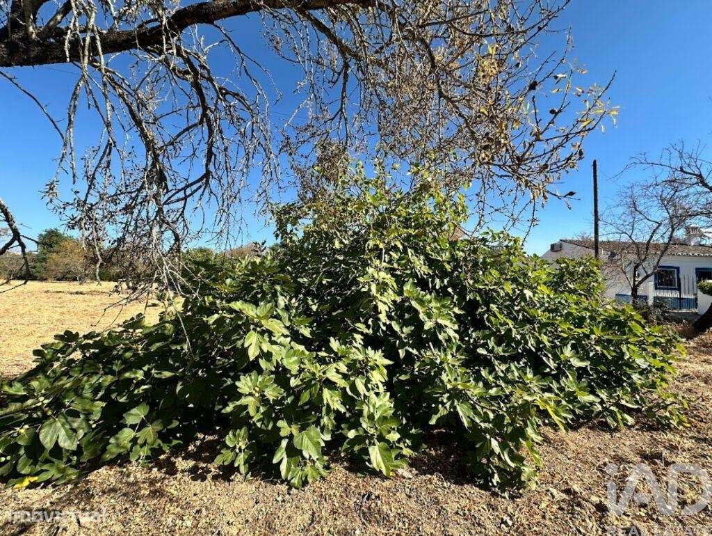 Terreno em Luz de Tavira e Santo Estêvão de 6820,00 m2 - Grande imagem: 4/5