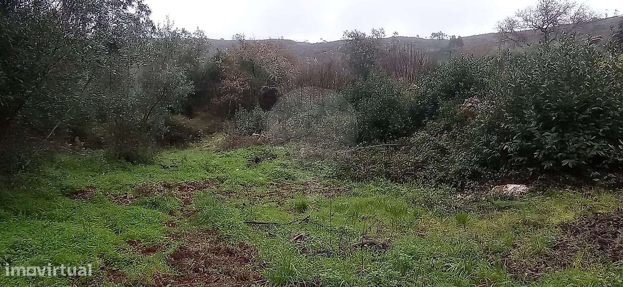 Terreno  para venda-5