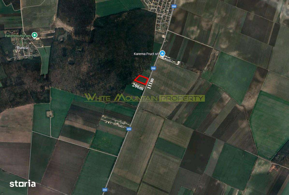 Dascalu, Ilfov, 2 ha teren de vanzare - Imagine principală: 2/3