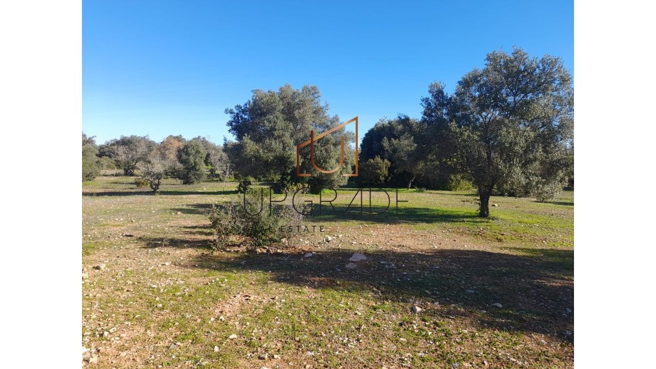 Terreno com ruína perto de São Brás de Alportel