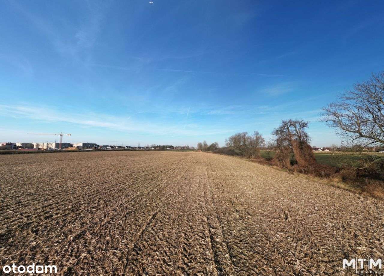 Działka, 9 878 m², Iwiny-10