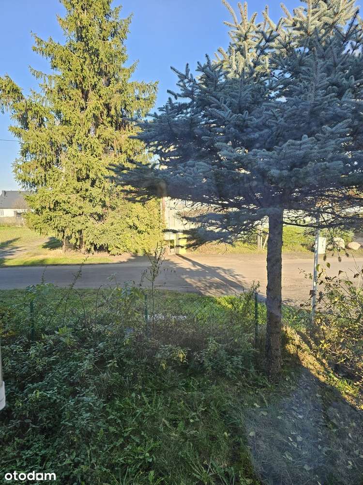 Mieszkanie w szeregowcu, garaż, ogród-1