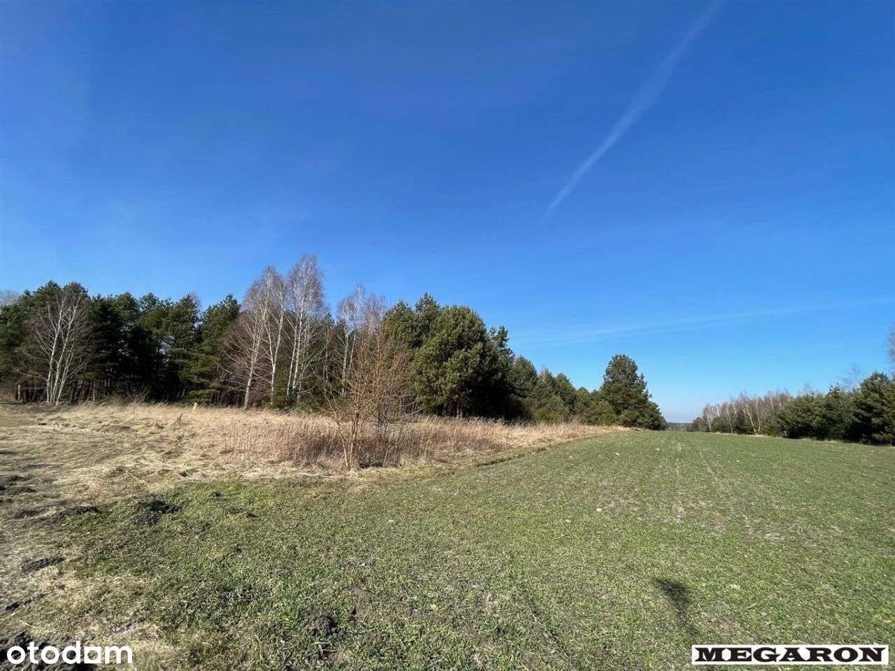 Działka, 16 219 m², Prusicko-7