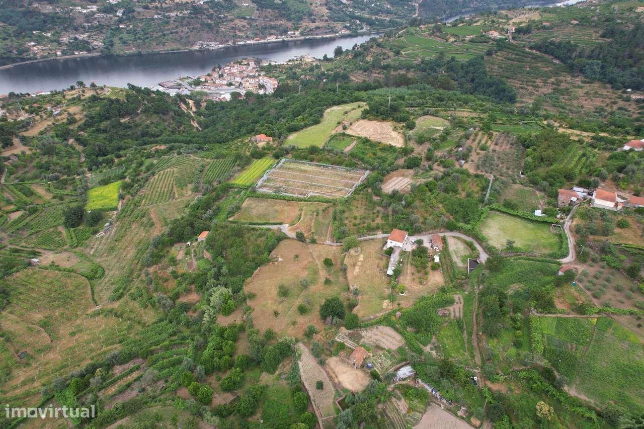 Quinta em Miomães, Resende | Um refúgio rural com cerca de 4 hectares-4