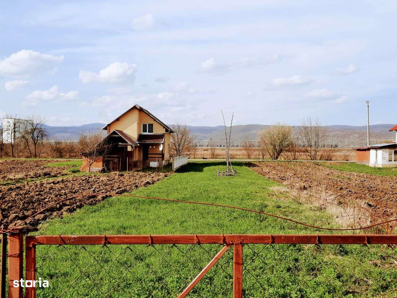 Ilia, proprietate deosebita-15