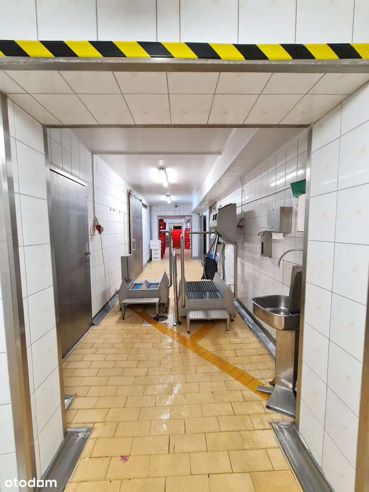 Polecamy czynny zakład rozbioru drobiu plus hostel!-1