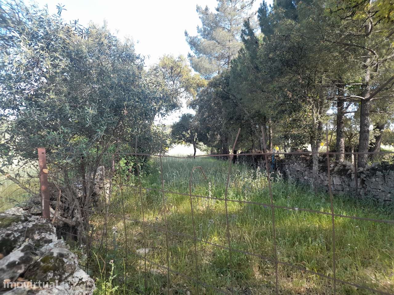 Terreno Rústico  Venda em Alcains,Castelo Branco - Grande imagem: 2/10