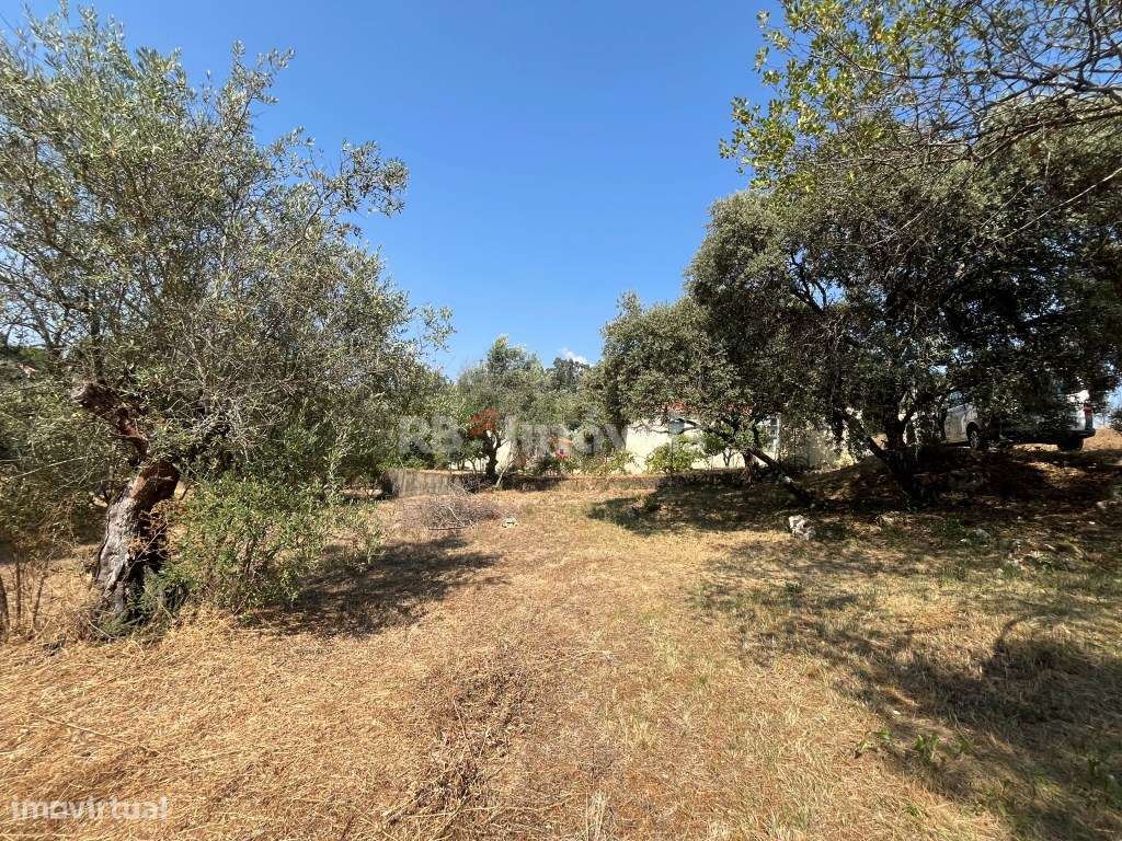 Terreno rústico com PDM urbano - Vale do Calvo, Tomar - Grande imagem: 4/13