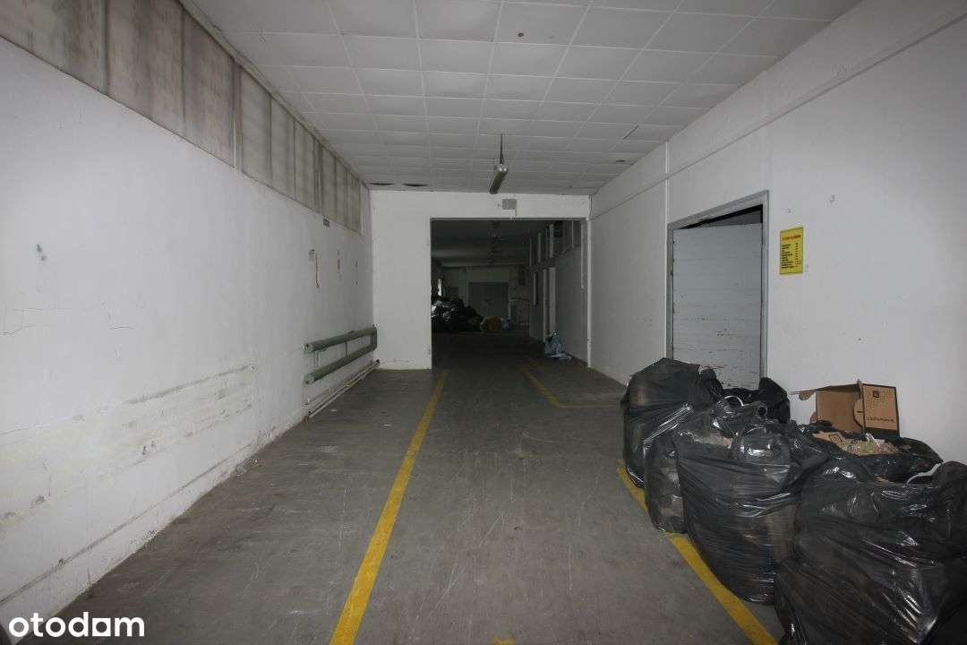 Sprzedam magazynowo-produkcyjną - Pełny obrazek: 5/20