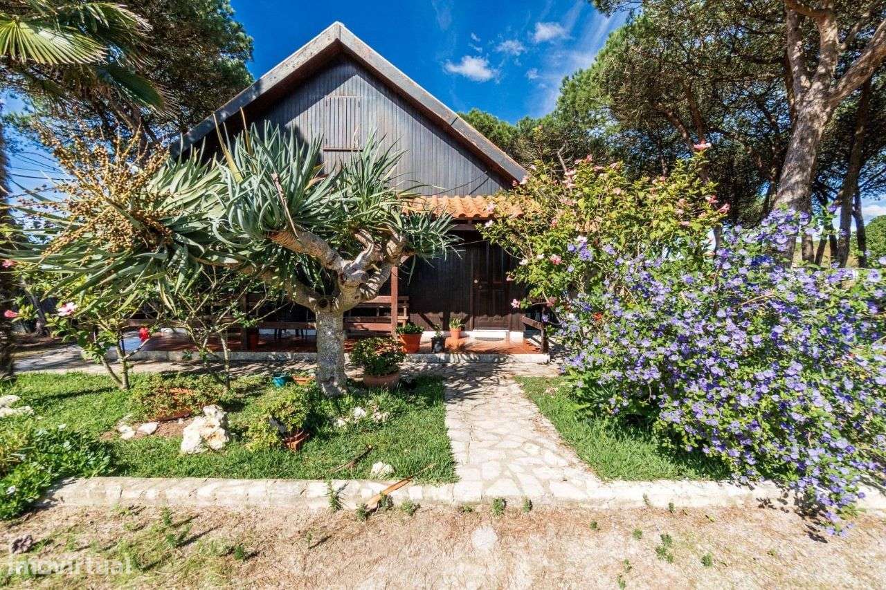 Quinta com 7.000m² em Amoreira, São João das Lampas - Grande imagem: 4/23