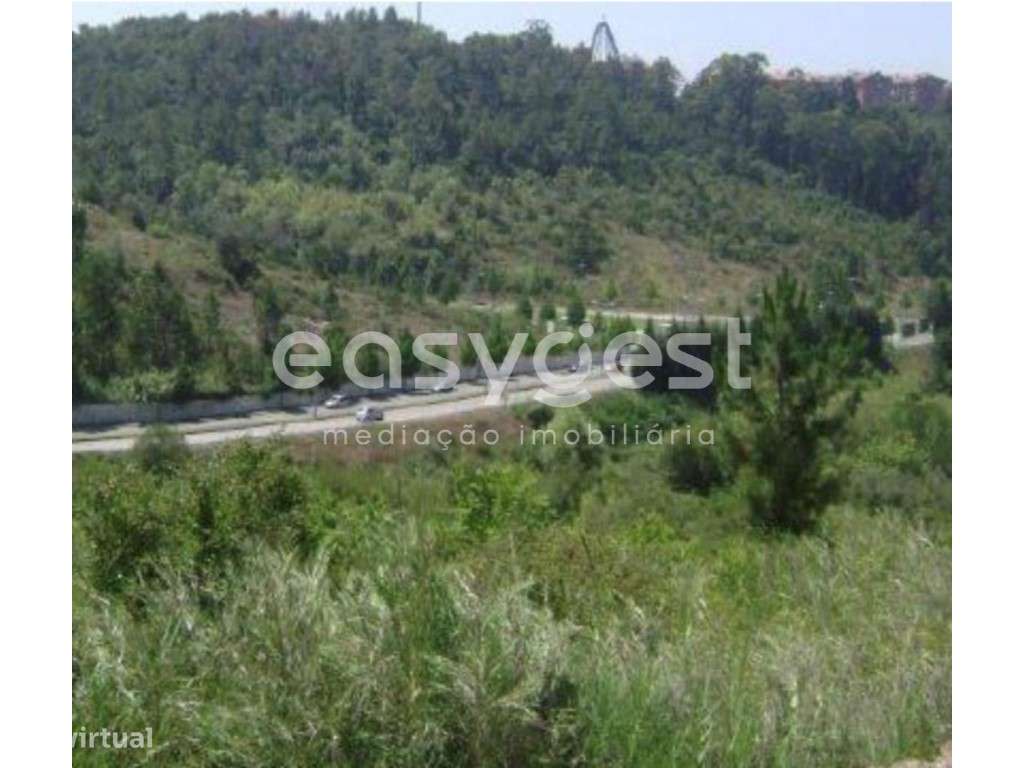 Conjunto de parcelas de terreno Coimbra com área total de 24,35 ha. - Grande imagem: 5/10