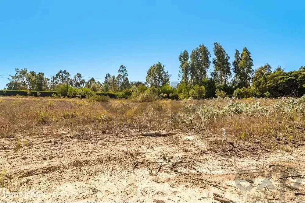 Investimento Imperdível em Odemira - Grande imagem: 5/19