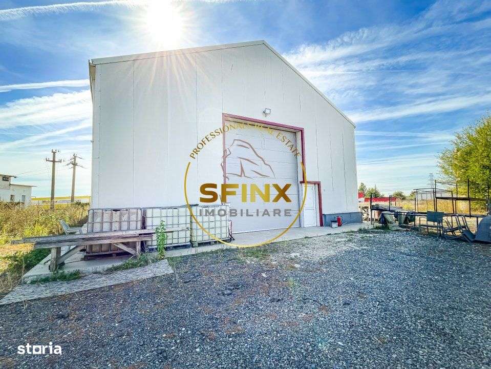 Spatiu logistic teren 12.452 mp hala 430 mp - Imagine principală: 3/9