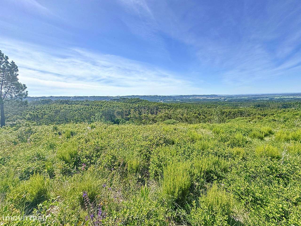 TERRENO - CONECTADO COM A NATUREZA - PRÓXIMO DO MAR - Grande imagem: 5/18