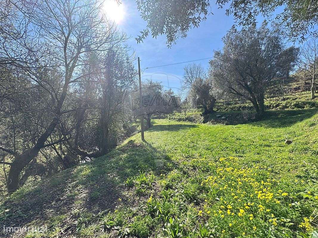 Terreno  para venda-7