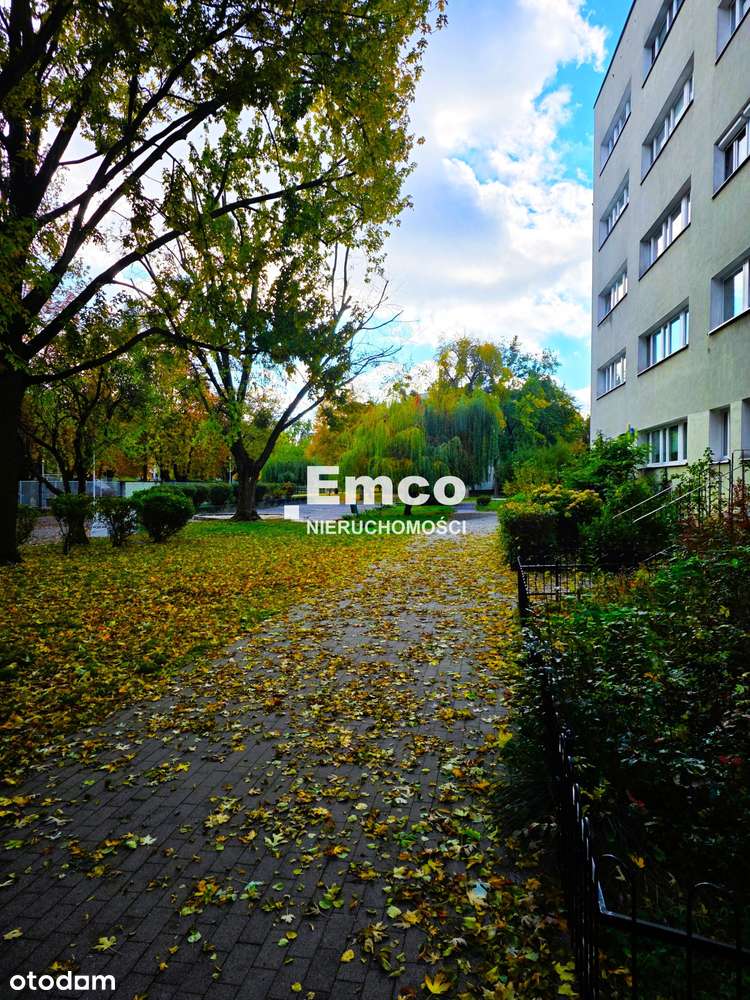 Mieszkanie 3-pokojowe z widokiem na zieleń-13