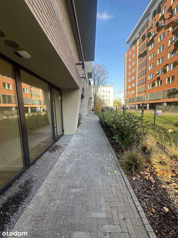 Lokal premium w centrum Poznania z dwoma gabinetami i recepcją - Pełny obrazek: 5/14