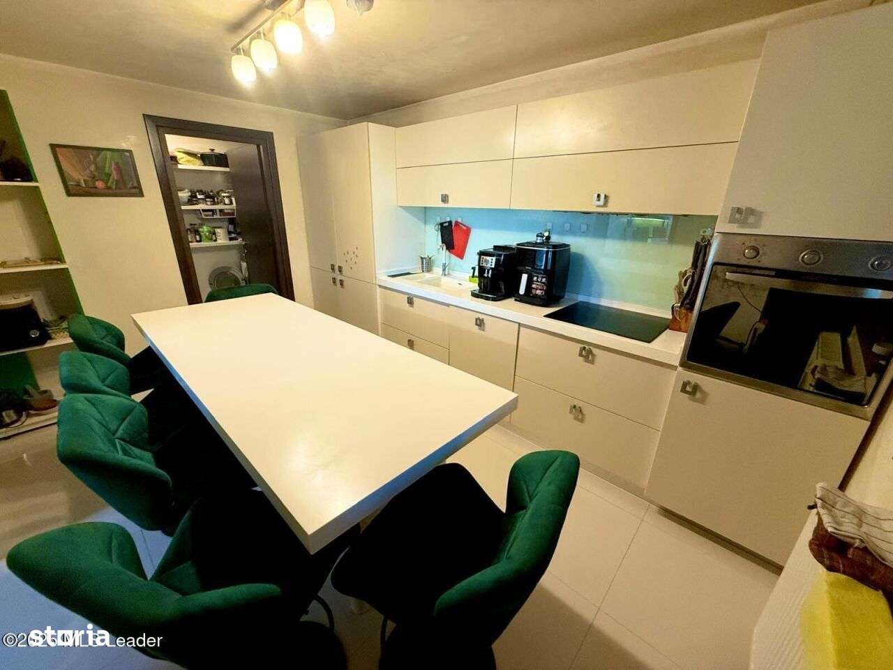 Casa Mogosoaia cu livada, crama si terasa-11