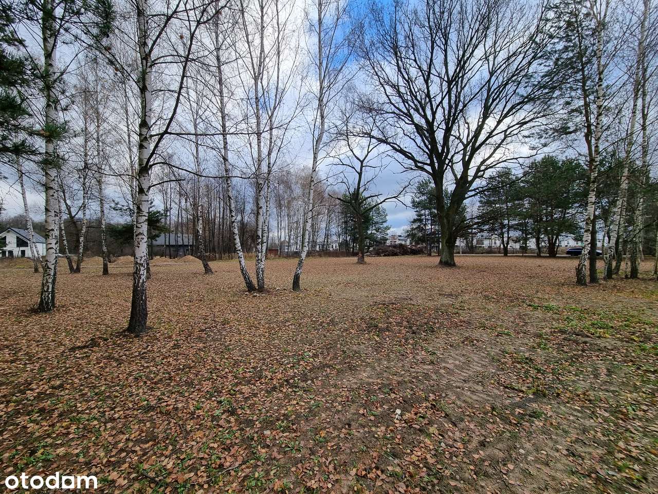 Zadrzewiona działka budowlana z MPZP - zabudowa mieszkaniowa - Pełny obrazek: 5/9