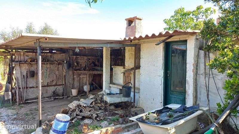 Escalos de Baixo - Quinta com abundância de água e infraestruturas - Grande imagem: 4/12