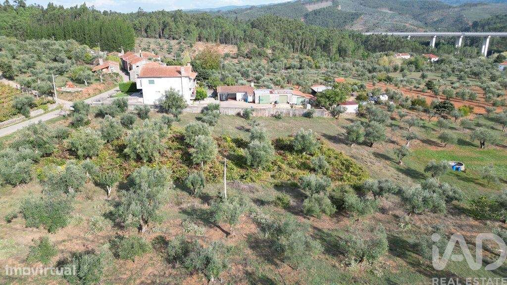 Terreno Agrícola em Podentes - Grande imagem: 5/13