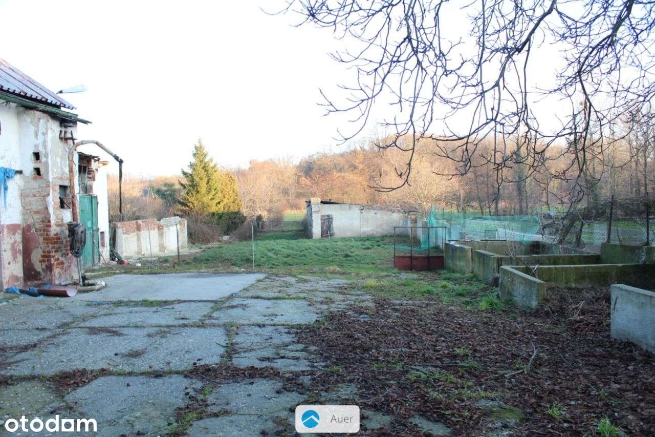 Pawłowiczki – dom z lat 80-tych, działka 29 arów - Pełny obrazek: 4/20