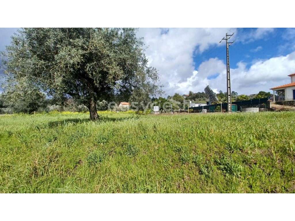 Terreno plano com 840 m2 em zona tranquila a 15 minutos de Tomar - Grande imagem: 5/17