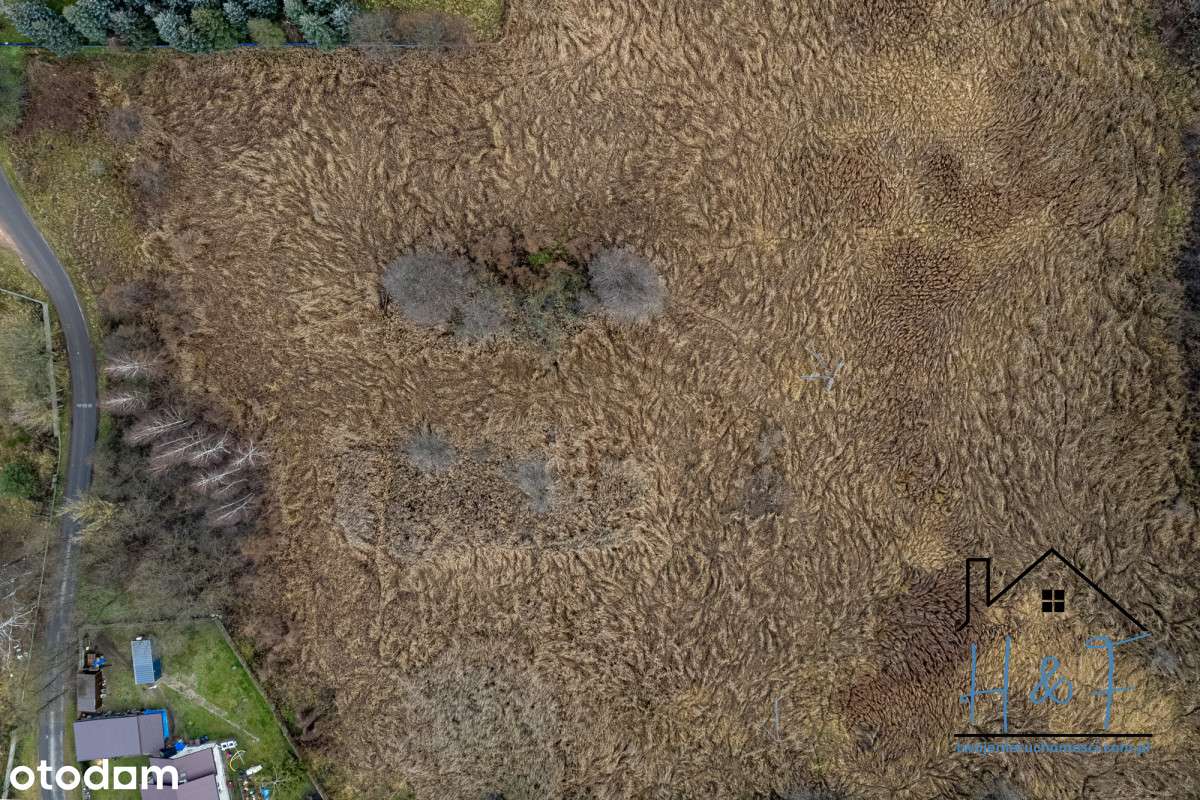 Działka przemysłowa blisko drogi wojewódzkiej - Pełny obrazek: 4/8